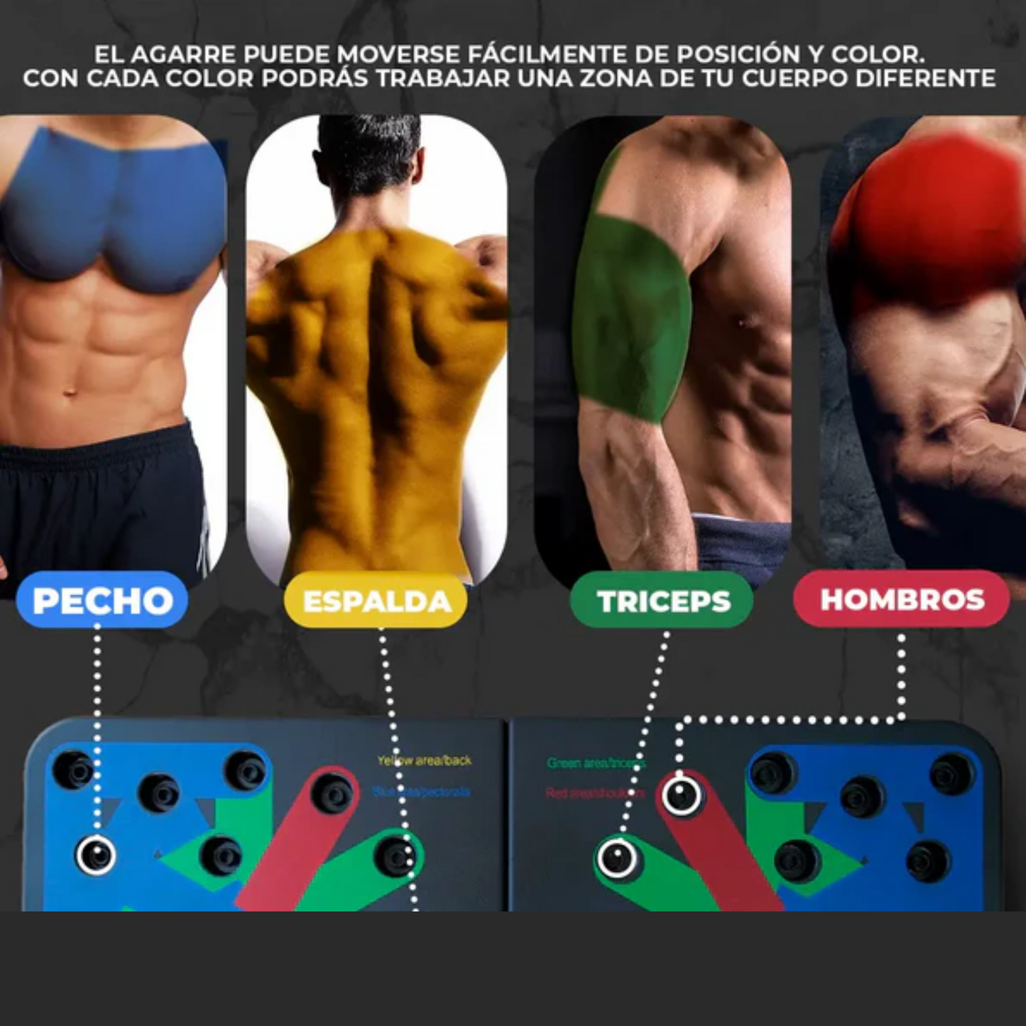 Tabla push up ejercicios